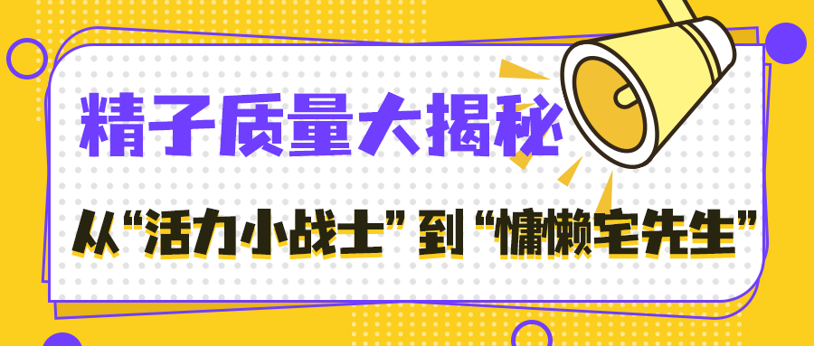 精子质量大揭秘：从 “活力小战士” 到 “慵懒宅先生”，你经历了什么？