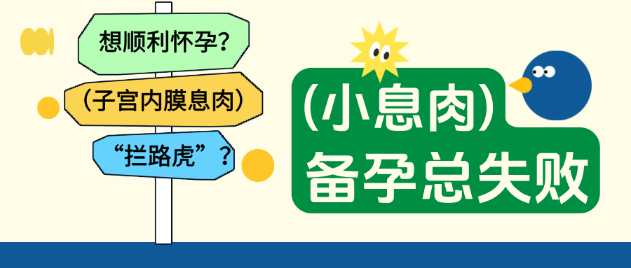 备孕总失败？小心子宫内膜息肉！它可能是你生育路上的 “隐形绊脚石”