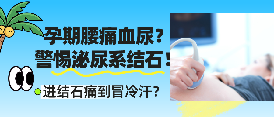 孕妈结石痛到冒冷汗？从预防到应对的科学方案