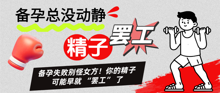 精子也会“罢工”？——揭秘胚胎停育背后的男性因素