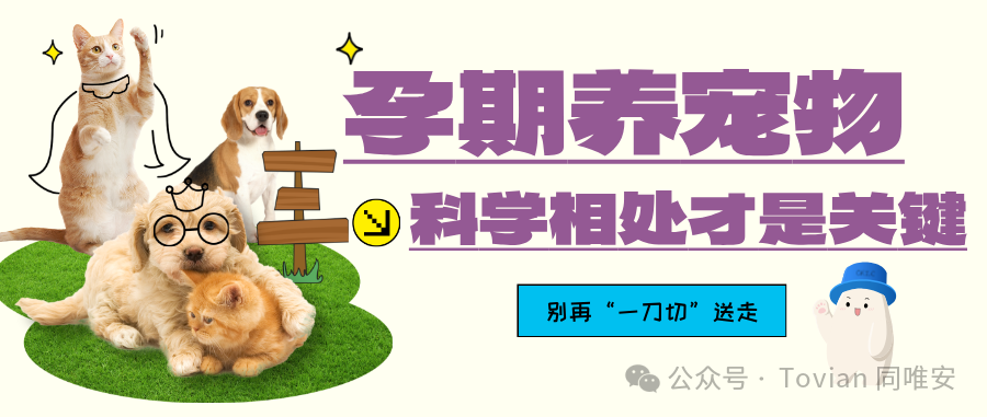 孕期养宠物｜别再一刀切直接“送走”！科学相处才是关键