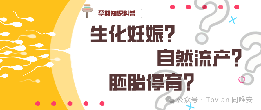 生化妊娠、自然流产、胚胎停育别混淆！读懂区别，安心备孕
