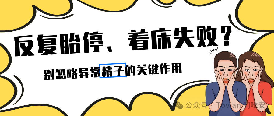 反复胎停、着床失败？别忽略异常精子的关键作用